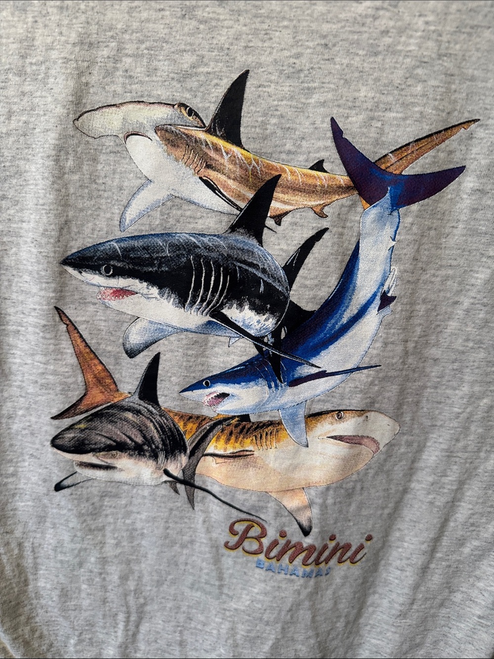 PacSun Gray Short Sleeve Tee with Multicolor Shark Graphic